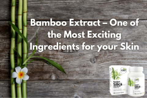 Bamboo Extract – One of The Most Exciting Ingredients for Your Skin